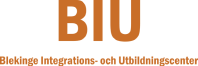 BIU logotyp